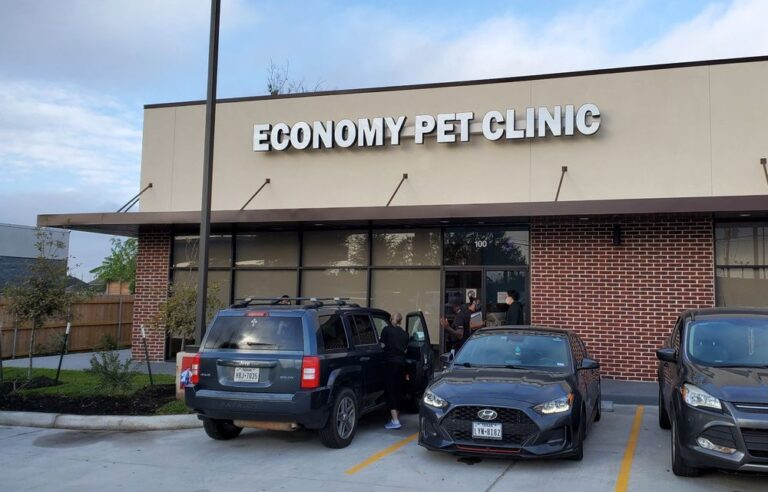 economy pet clinic stafford 1 768x492