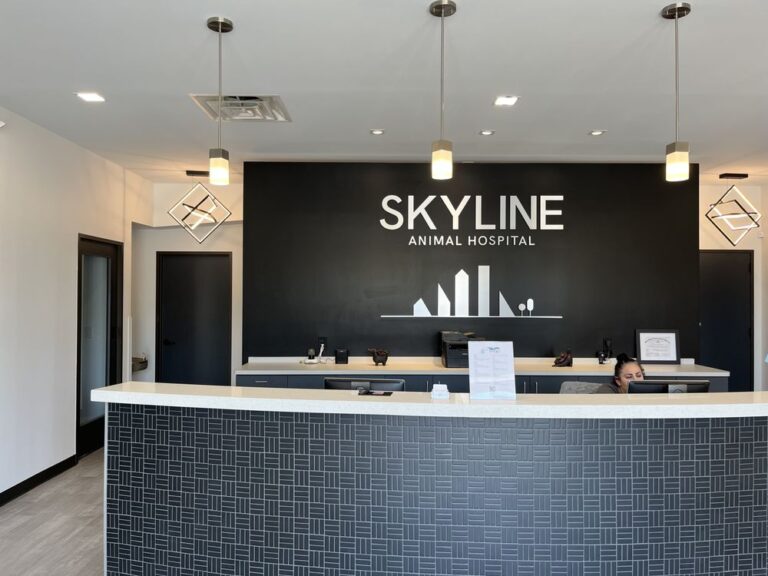 skyline animal hospital houston 768x576