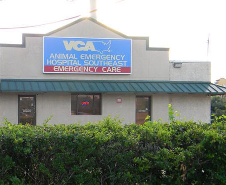 vca animal emergency hospital southeast houston 768x627